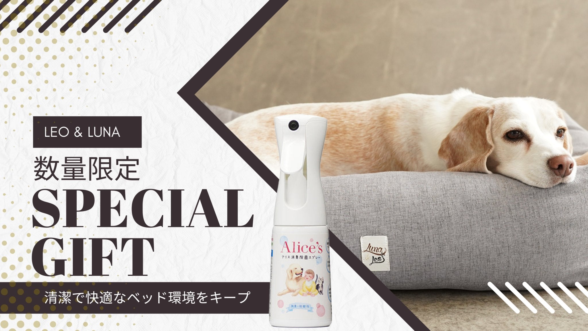 【数量限定キャンペーン】レオエルナベッド購入で、アリス消臭除菌スプレー200mlをプレゼント! - Alice's Dog & Cat
