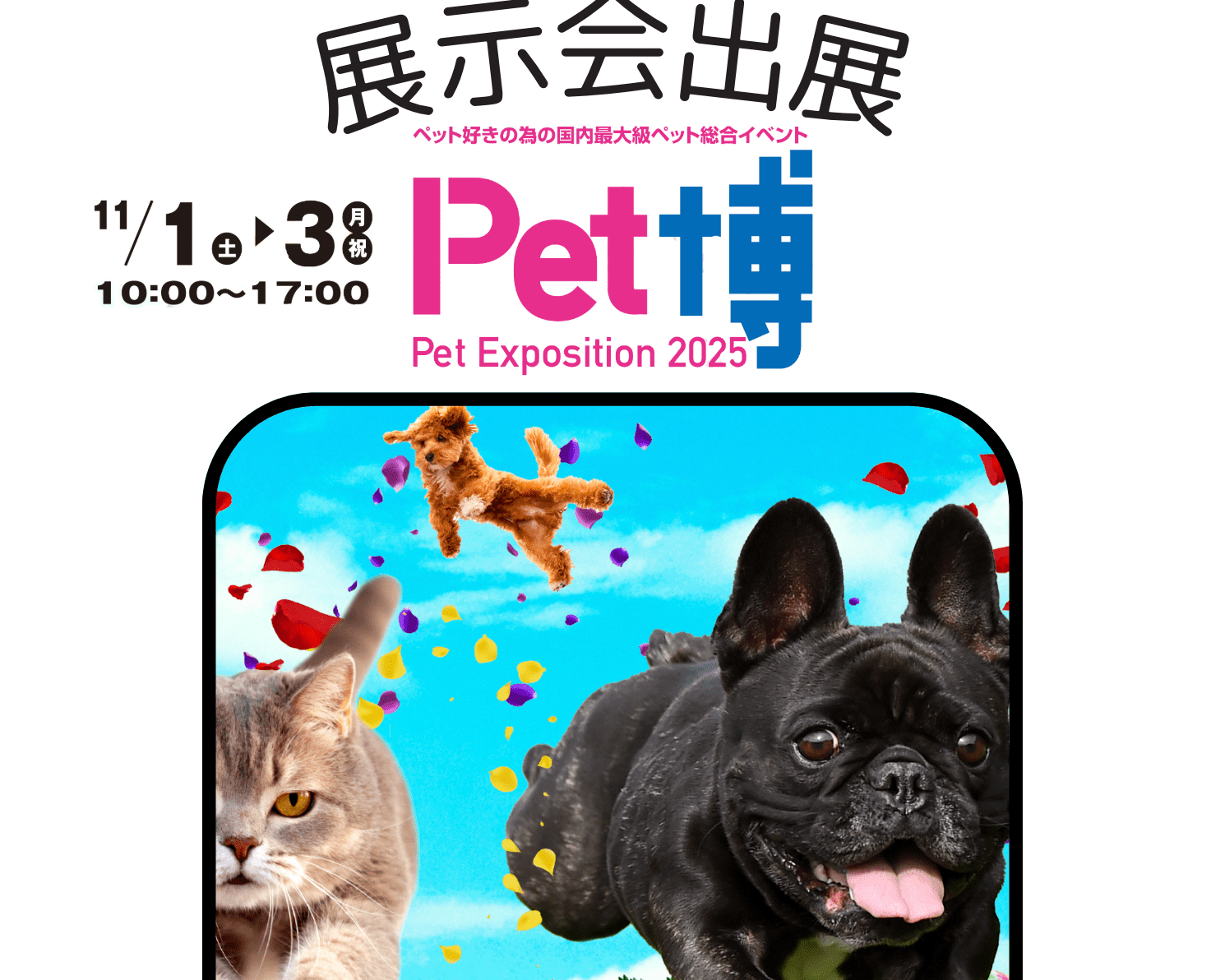 【お知らせ】ペット博 大阪 2025 出店のご案内 - Alice's Dog & Cat