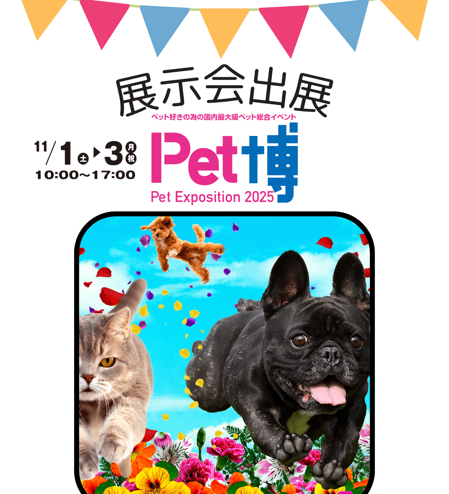 【お知らせ】ペット博 大阪 2025 出店のご案内 - Alice's Dog & Cat