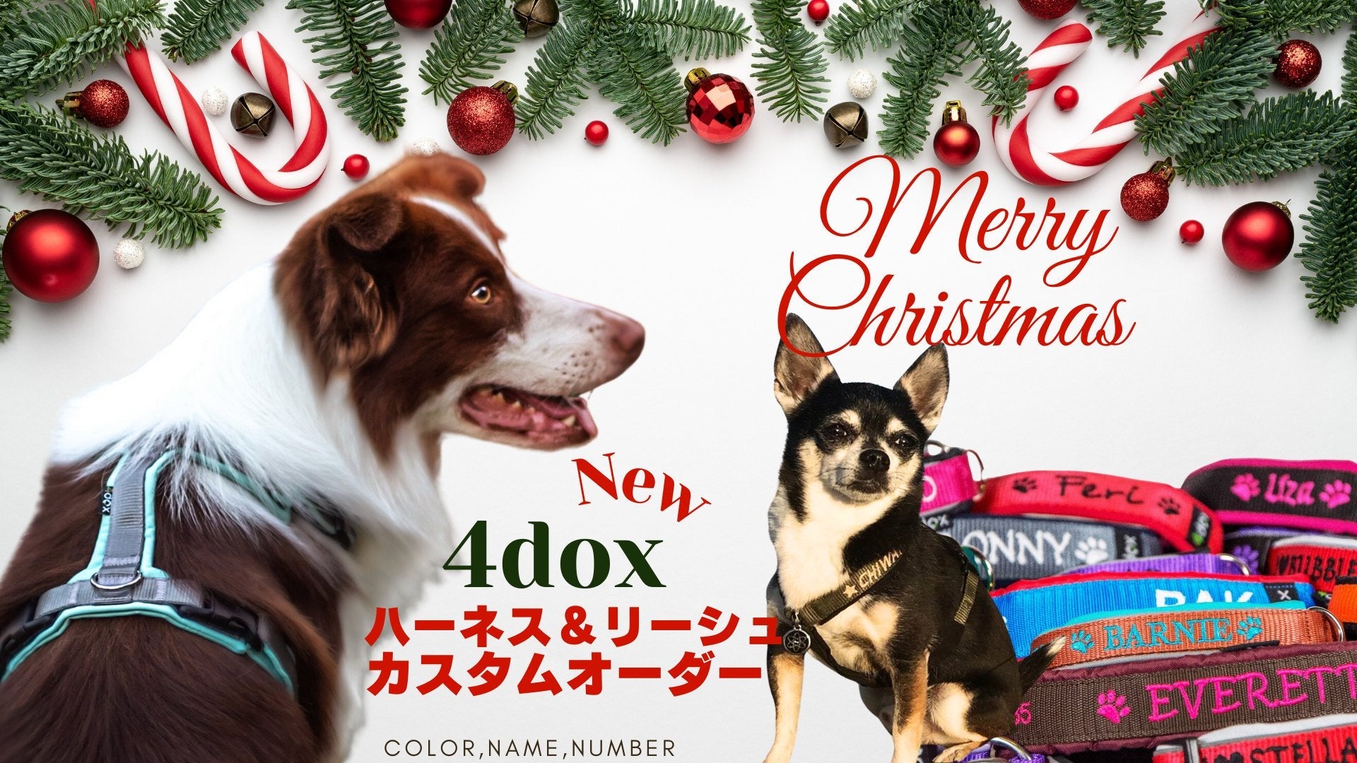 4dox カスタムハーネス&リーシュ新登場|愛犬の個性を引き立てるカスタマイズが可能に! - Alice's Dog & Cat