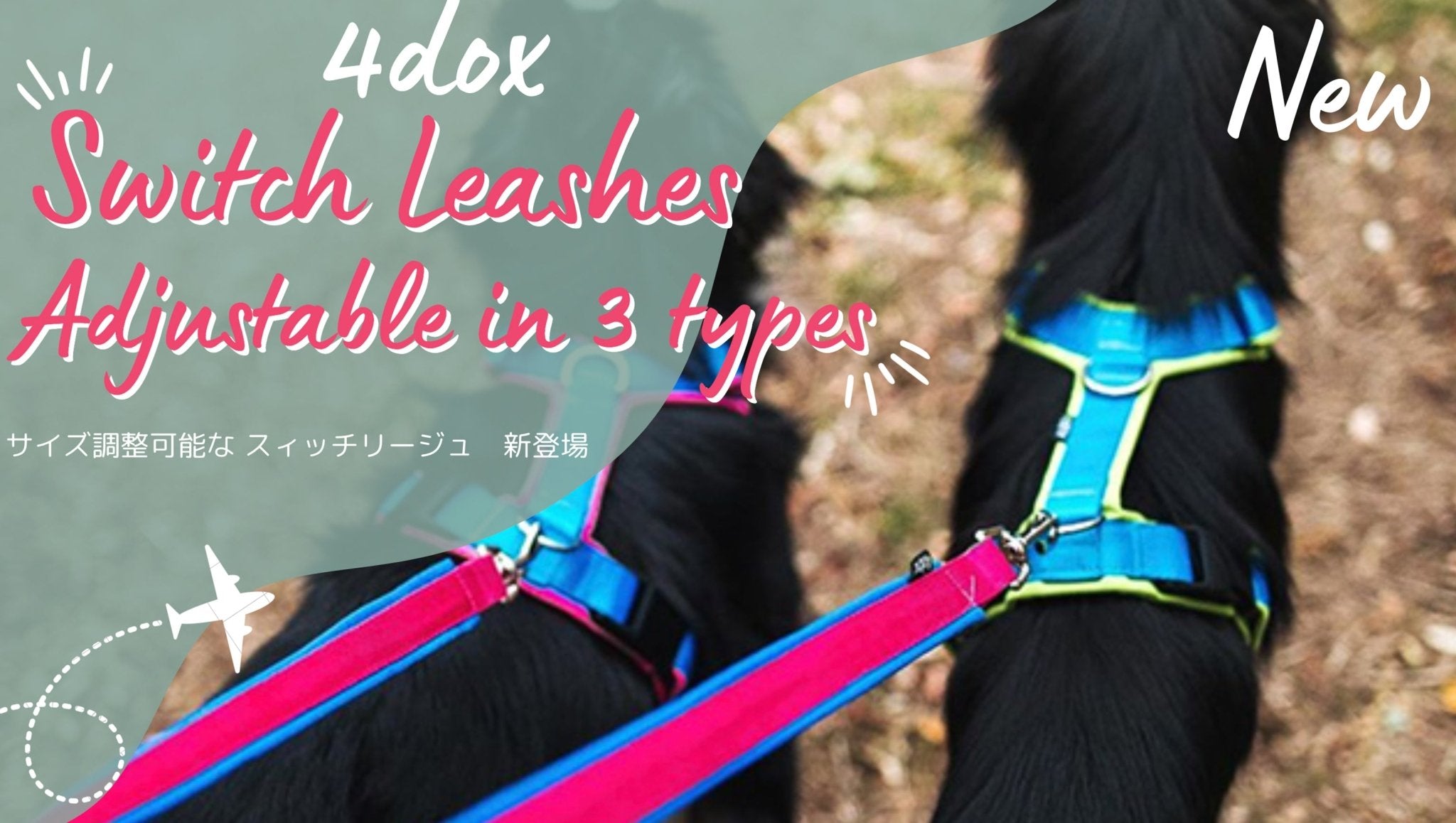 新商品のご案内】犬用 散歩用 4dox リーシュ/リード 新登場 – Alice's