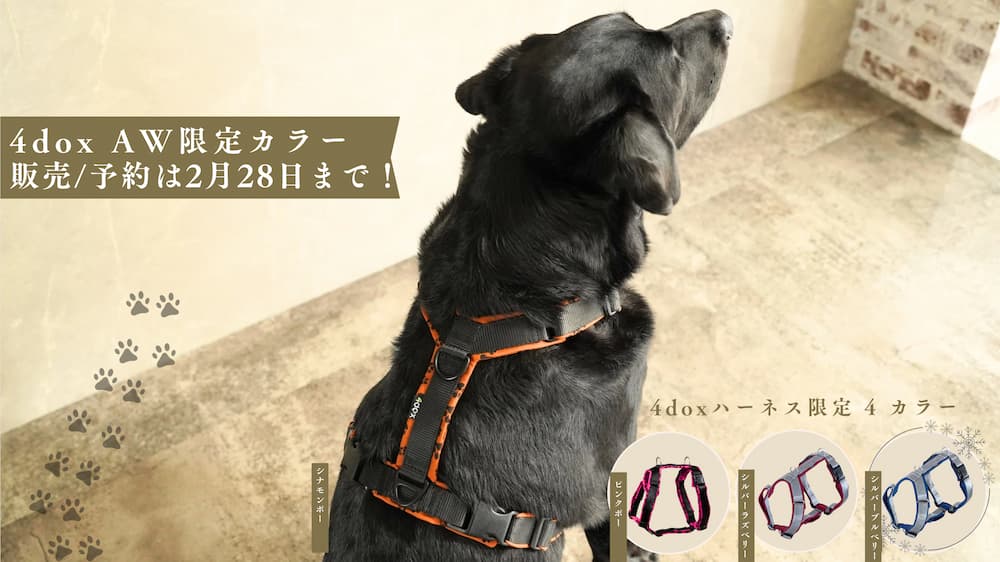 【限定】4doxハーネス AW限定カラー販売|2月末まで! - Alice's Dog & Cat