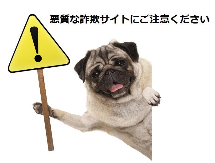 悪質な詐欺サイトにご注意ください – Alice's Dog & Cat