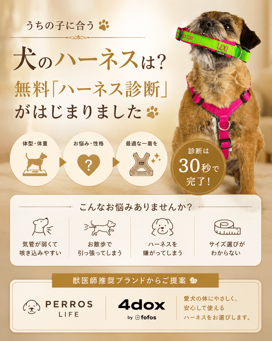 犬のハーネス診断｜体型・お悩みから最適な一着を無料提案 | Alice's