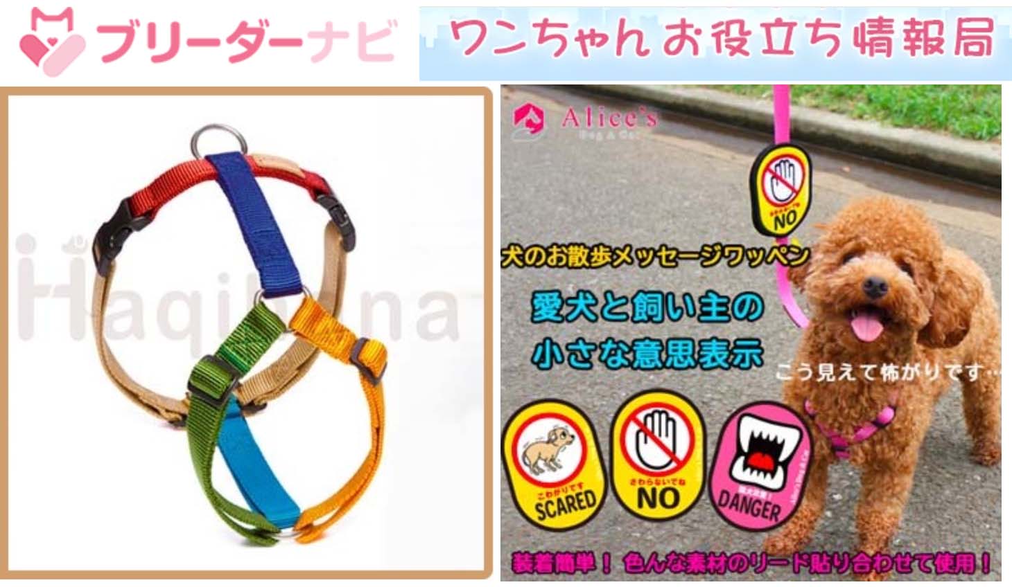 【ブリーダーナビ】にて弊社の「ハキハナハーネス」と「犬のお散歩メッセージワッペン」をご紹介いただきました! - Alice's Dog & Cat