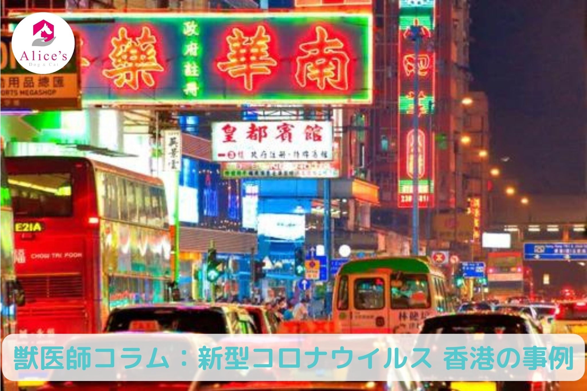 獣医師コラム:香港で新型コロナウイルス感染者の飼育犬から弱陽性反応が出た事例について - Alice's Dog & Cat