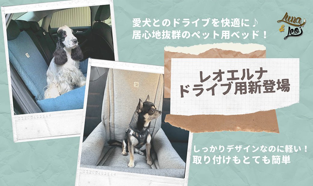 犬 ドライブ用ベッド Leo & Luna - グロッシーブラックカラー 犬用 レオエルナ ドライブ用ベッド | 愛犬の安全と快適を守る