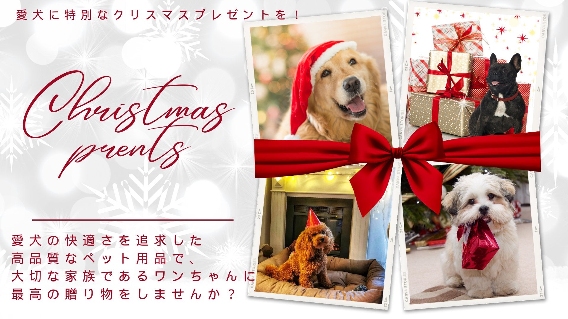 【新商品情報】Leo & Lunaから待望の新商品が登場!クリスマスプレゼントやお出かけ用品として愛犬に - Alice's Dog & Cat