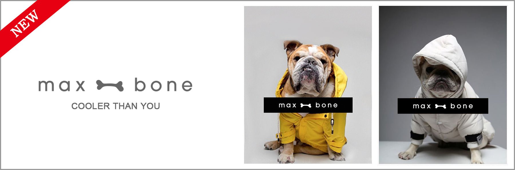 max boneがAlice's Dog & Catに新登場! - Alice's Dog & Cat