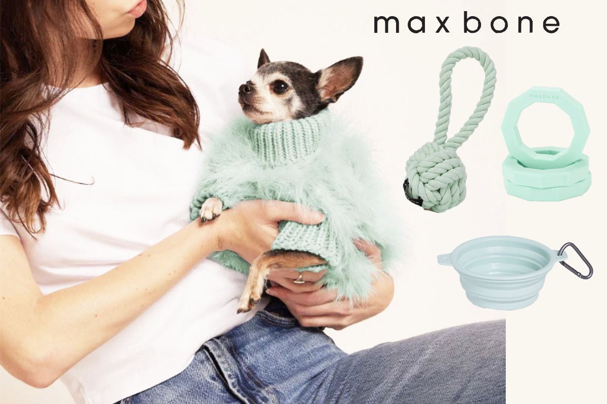 maxbone 犬用の洋服とおもちゃ!!新商品入荷のお知らせ - Alice's Dog & Cat
