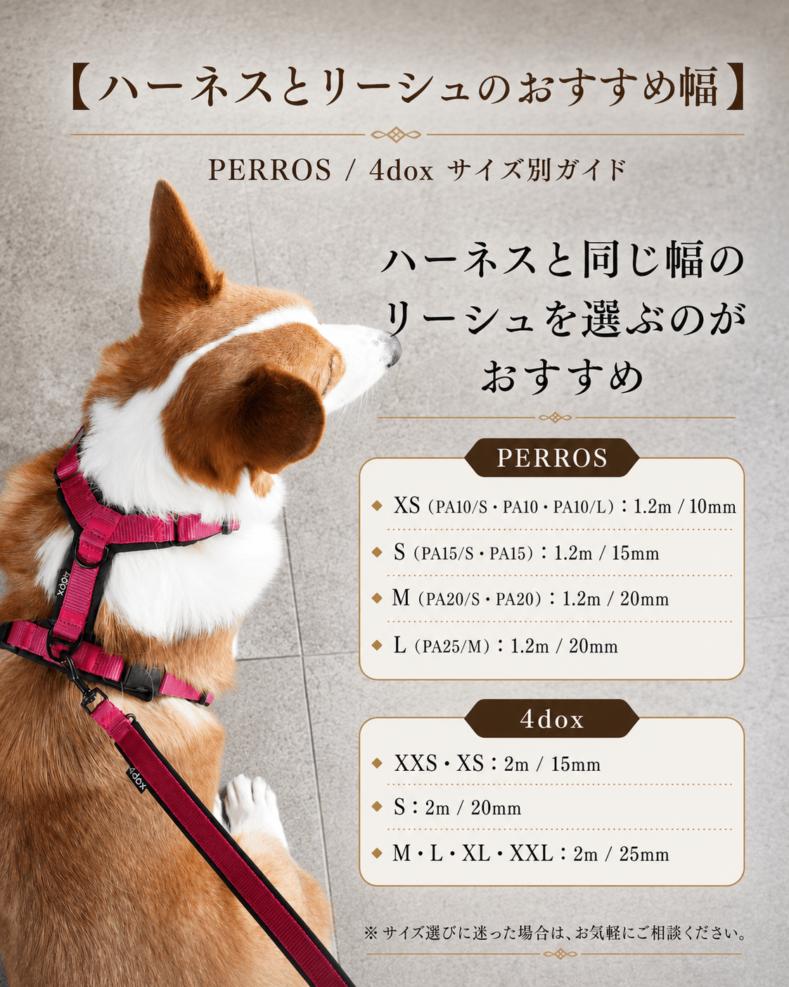 思い出のハーネスとリード　ハーネス　リード 犬用ハーネス＆リードセット新発売｜PERROS・4dox【5年保証