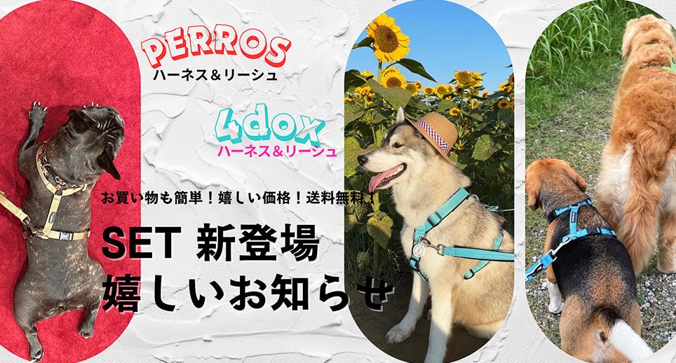 新登場】 PERROS / 4dox ハーネスとリーシュSET登場 – Alice's Dog & Cat