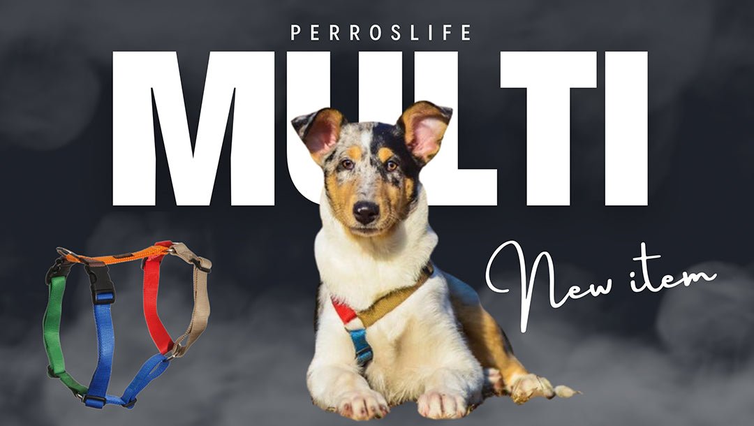 ペルロス ハーネス チョコレート 犬ハーネス PERROS｜首を通さないH型Y