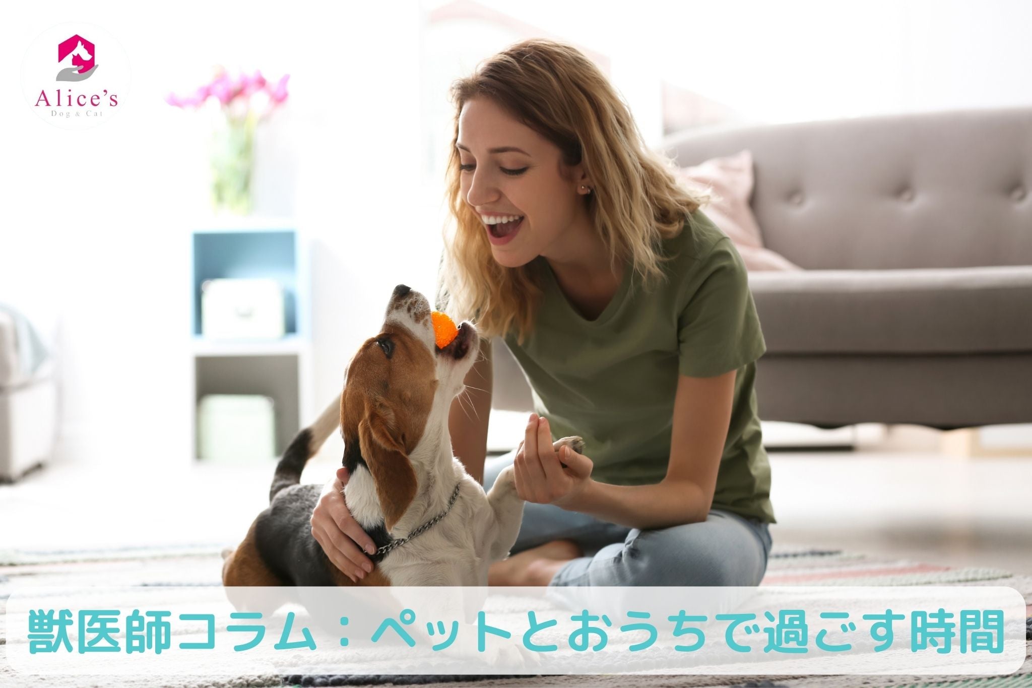 獣医師コラム:#Stay Home ペットとおうちで過ごす時間 【自宅でできるお手入れ・ケア、遊び】 - Alice's Dog & Cat