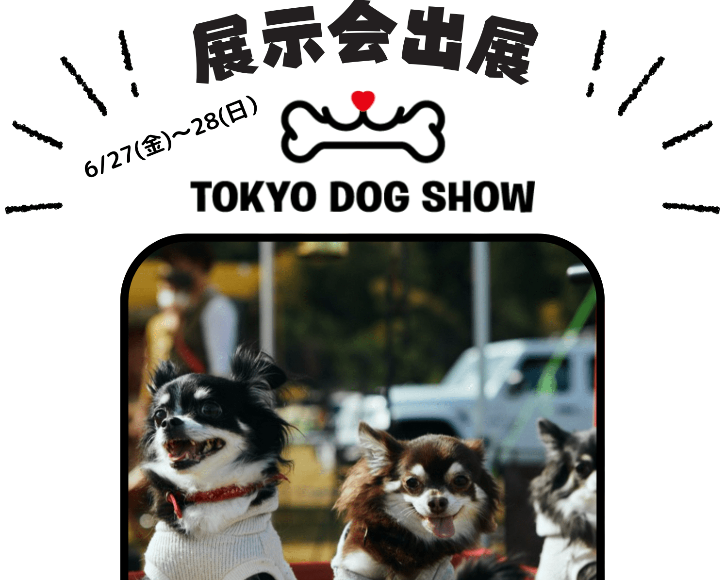 TOKYO DOGS SHOW 2025 出展のご案内|4doxエアリーマルチベストをお試しいただけます - Alice's Dog & Cat