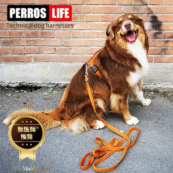 PERROS ハーネス ＆ リーシュ 1.2m セット ── 愛犬の体格に合わせて
