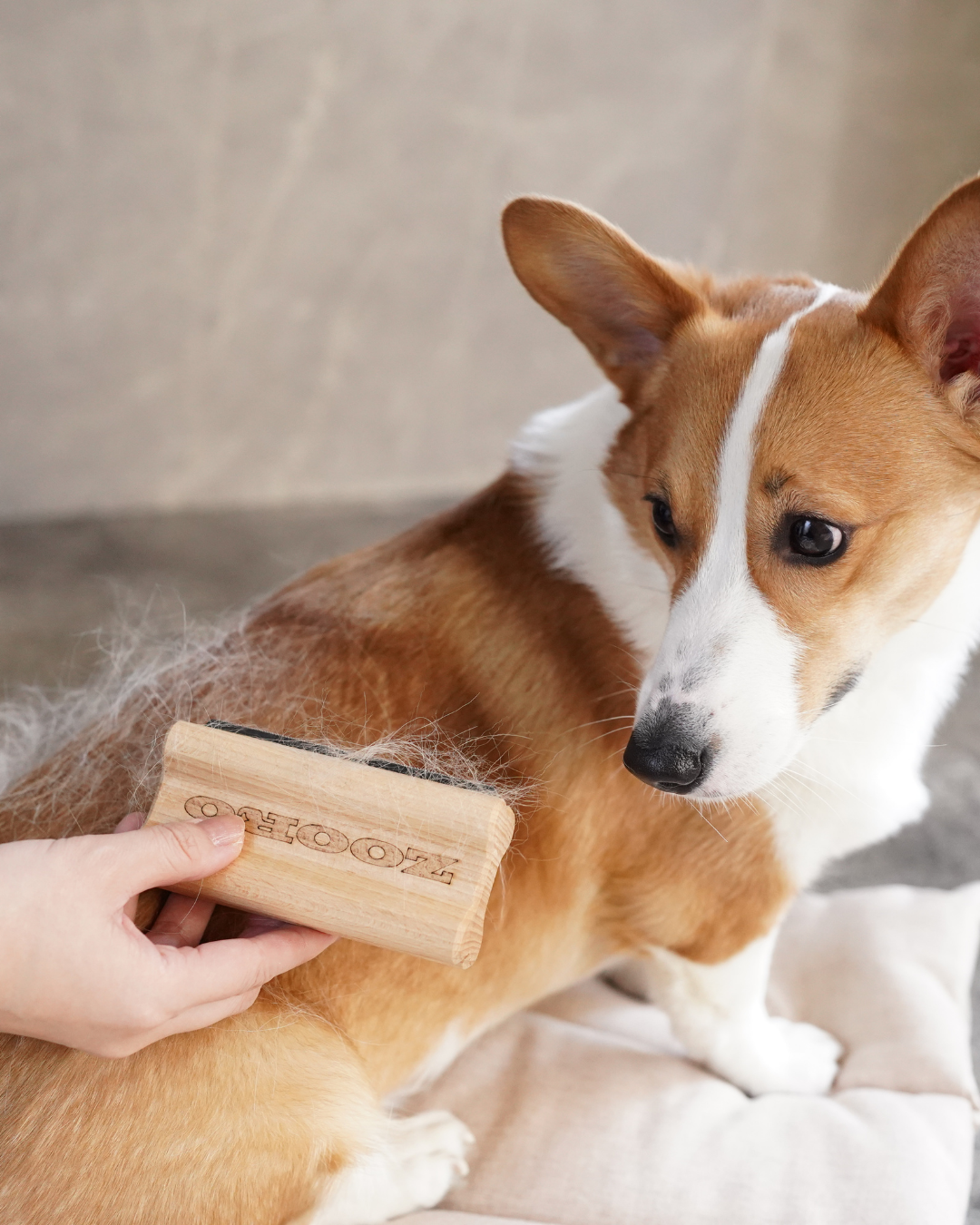 犬猫うさぎ小動物用 ZOOROグルーミングコーム｜短毛種対応｜毛玉予防