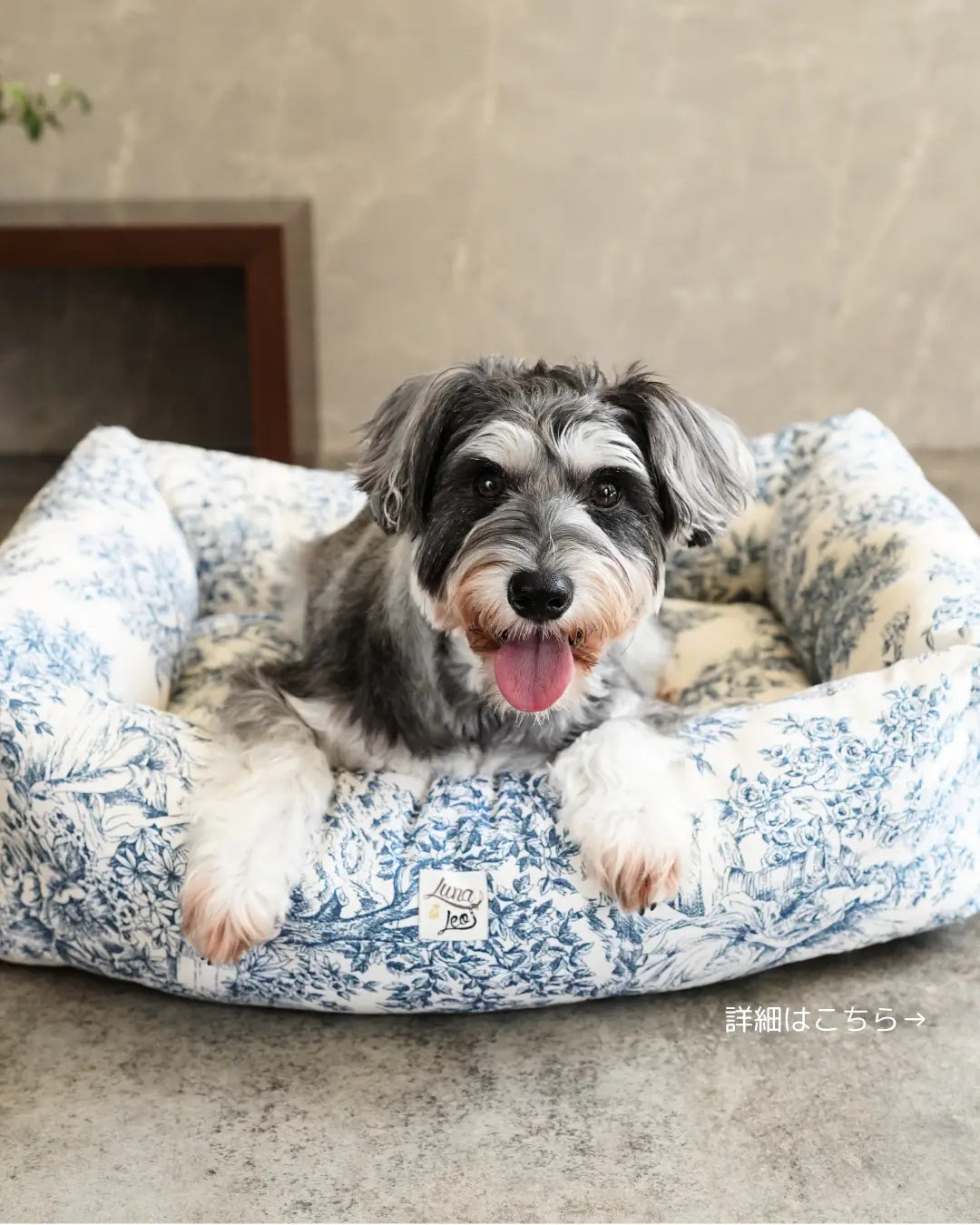 犬用ベッド おしゃれ インテリアにも シュナウザー