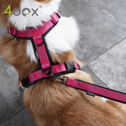 犬用リード 4dox - スウィッチリーシュ 2M 多機能|ペット用リード|犬用リード 4dox - スウィッチリーシュ 2M | 1本で多機能 2頭一緒に使用 肩掛け対応 4way リード