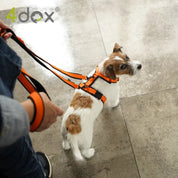 犬用リード 4dox - スウィッチリーシュ 2M 多機能|ペット用リード|