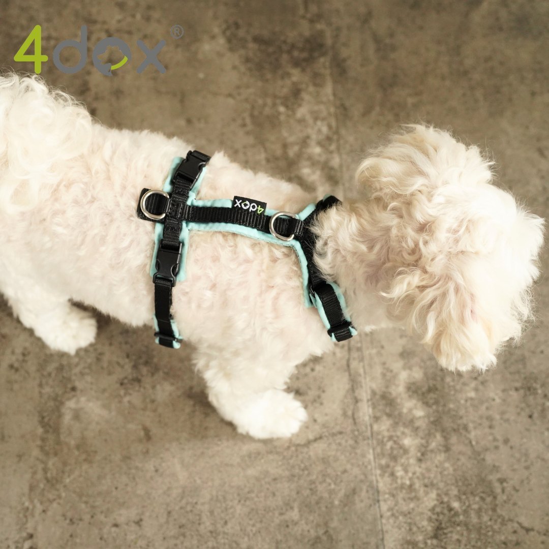 犬用ハーネス 4dox - コンフォートプラスハーネス ドッグトレーナー推奨 BAT対応3リング付き|ペット用首輪・ハーネス|犬用ハーネス 4dox - 安全・快適でおしゃれなデザインの散歩用ハーネス|ペット用首輪・ハーネス