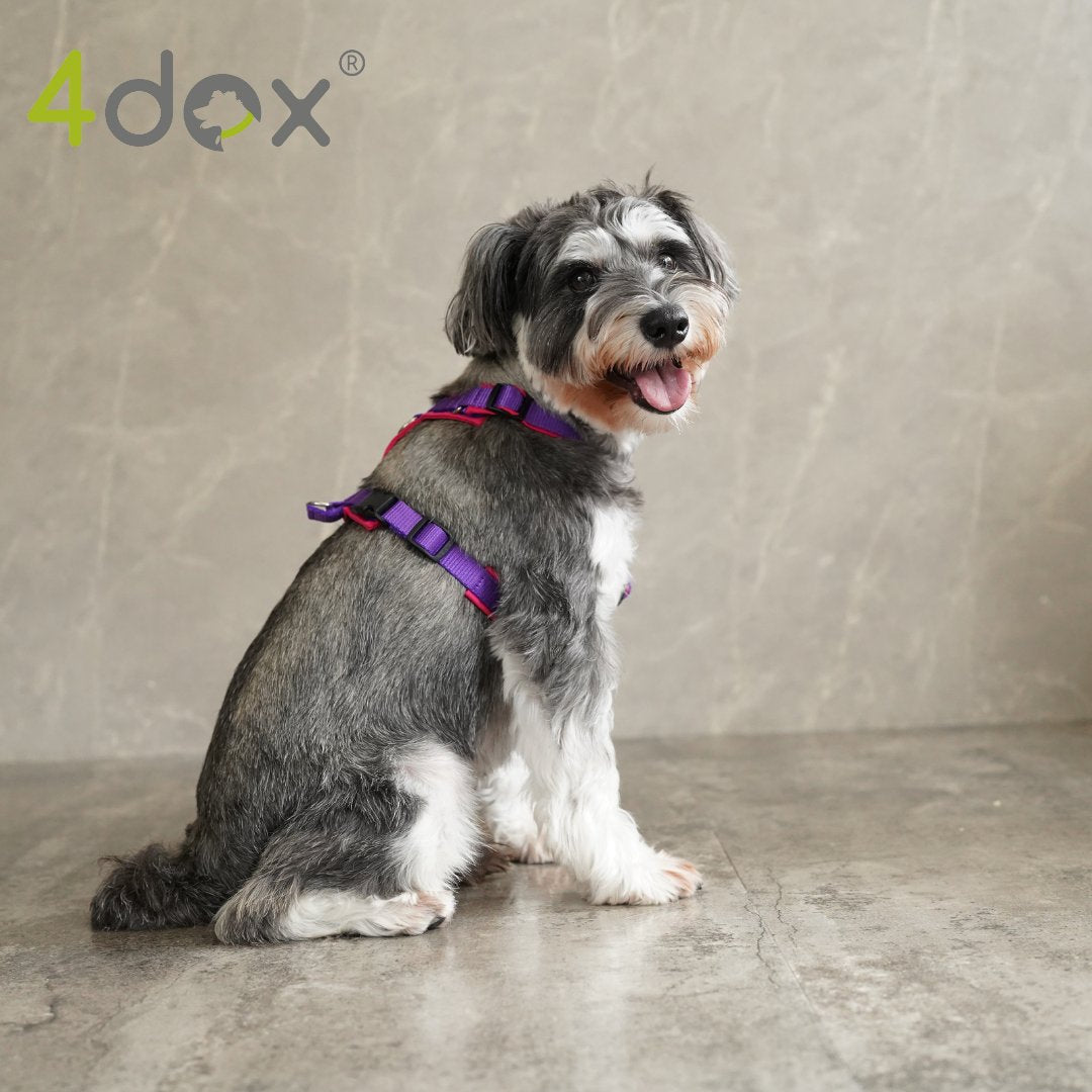 犬用ハーネス 4dox - コンフォートプラスハーネス ドッグトレーナー推奨 BAT対応3リング付き|ペット用首輪・ハーネス|犬用ハーネス 4dox - 安全・快適でおしゃれなデザインの散歩用ハーネス|ペット用首輪・ハーネス