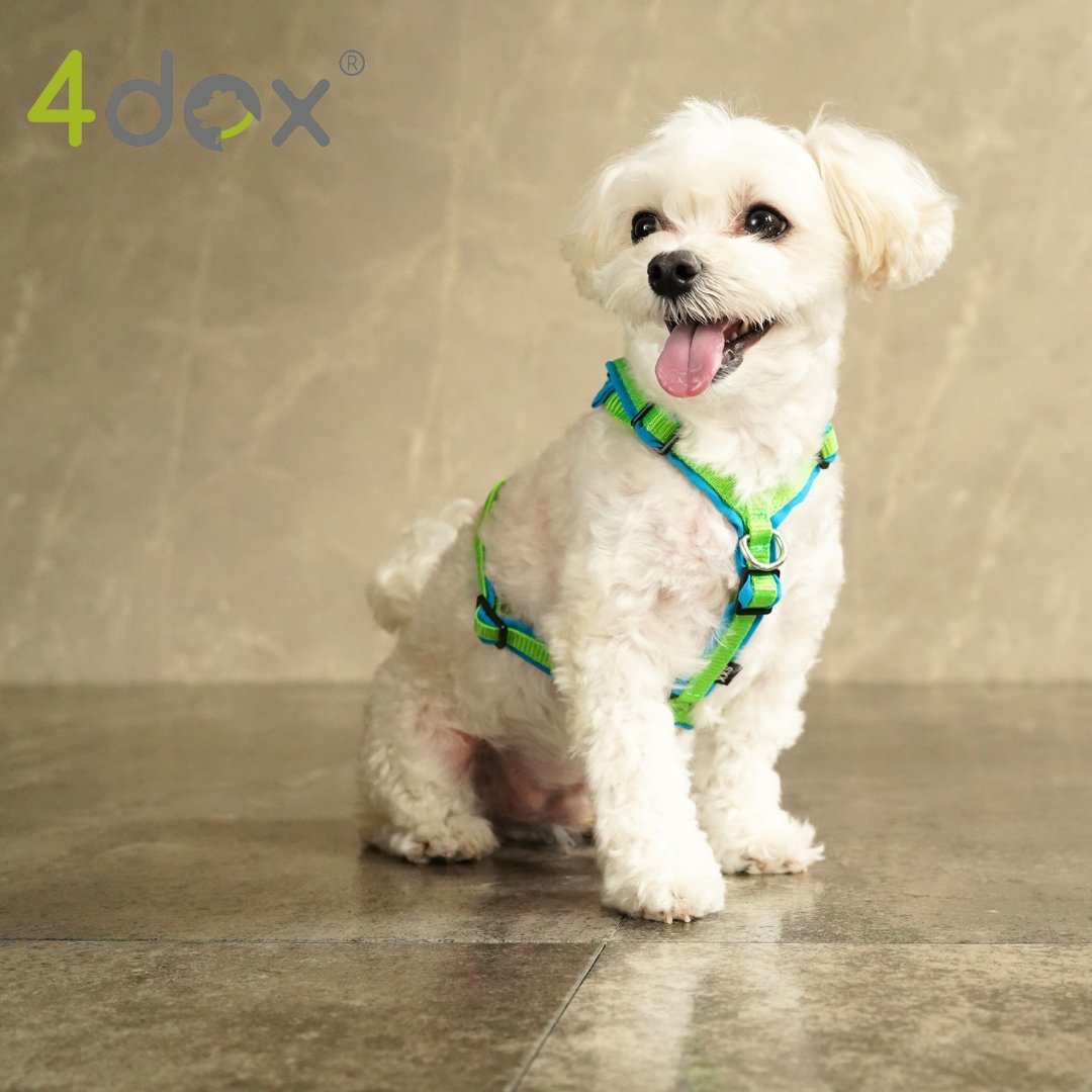 犬用ハーネス 4dox - コンフォートプラスハーネス ドッグトレーナー推奨 BAT対応3リング付き|ペット用首輪・ハーネス|犬用ハーネス 4dox - 安全・快適でおしゃれなデザインの散歩用ハーネス|ペット用首輪・ハーネス