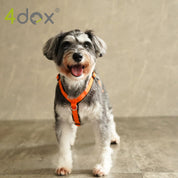 犬用ハーネス 4dox - コンフォートプラスハーネス|ペット用首輪・ハーネス|
