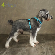 犬用ハーネス 4dox - コンフォートプラスハーネス|ペット用首輪・ハーネス|