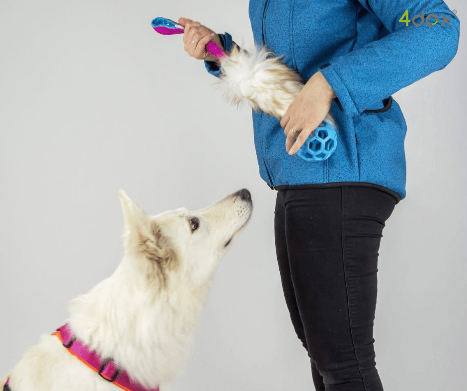 犬猫用 4dox 羊毛ドラッグトイ M サイズ 衝撃吸収リード付き|ペット・ペット用品|犬猫用 4dox 羊毛ドラッグトイ M サイズ 衝撃吸収リード付き