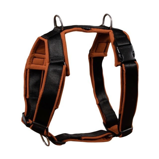 犬用 4dox - ハーネス & リーシュ セット|ペット用首輪・ハーネス|犬用 4dox - コンフォートプラスハーネス (S, M, Lサイズ) & 2Mスウィッチリーシュ セット|ペット用首輪・ハーネス