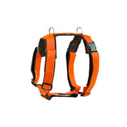 犬用 4dox - ハーネス & リーシュ セット|ペット用首輪・ハーネス|犬用 4dox - コンフォートプラスハーネス (S, M, Lサイズ) & 2Mスウィッチリーシュ セット|ペット用首輪・ハーネス