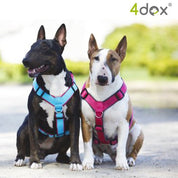 犬用ハーネス 4dox - コンフォートプラスハーネス|ペット用首輪・ハーネス|犬用ハーネス 4dox - 安全・快適でおしゃれなデザインの散歩用ハーネス|ペット用首輪・ハーネス