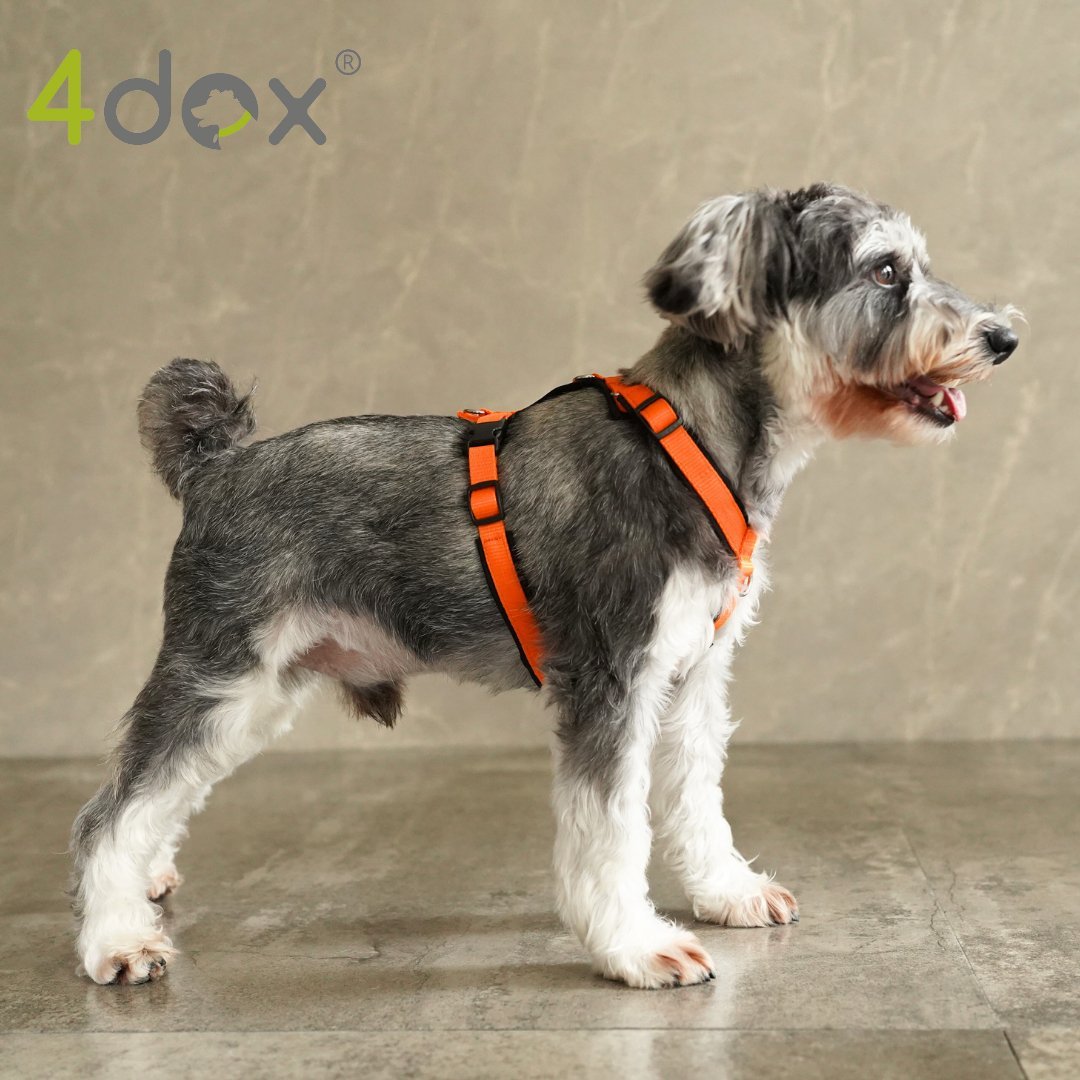 犬用ハーネス 4dox - 安全・快適でおしゃれなデザインの散歩用ハーネス|ペット用首輪・ハーネス