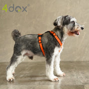犬用ハーネス 4dox - 安全・快適でおしゃれなデザインの散歩用ハーネス|ペット用首輪・ハーネス