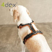 犬用ハーネス 4dox - コンフォートプラスハーネス|ペット用首輪・ハーネス|