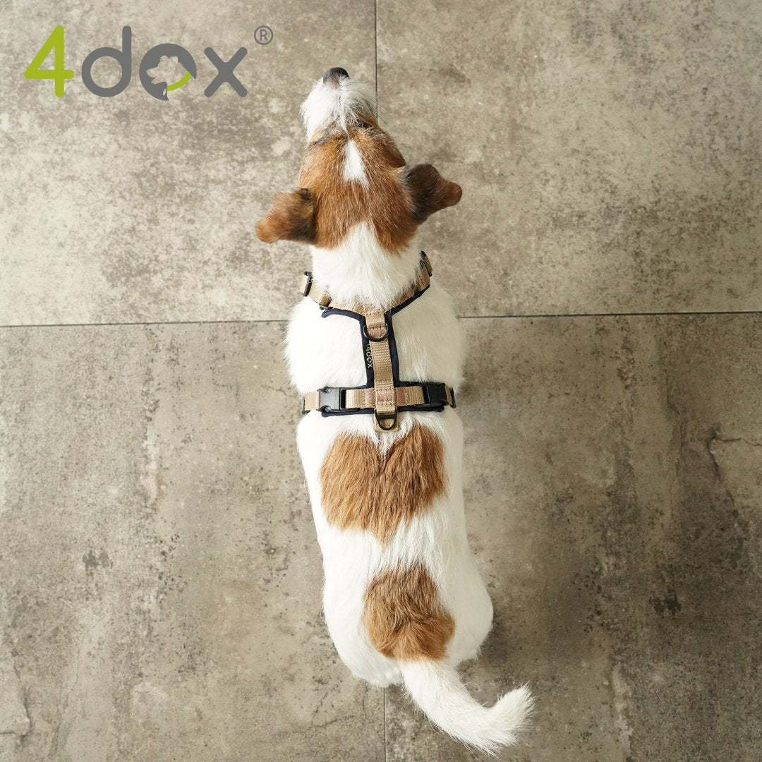 犬用ハーネス 4dox - コンフォートプラスハーネス|ペット用首輪・ハーネス|