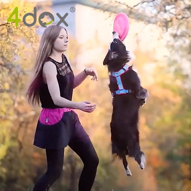 犬散歩・トレーニング用 4dox - ドッグウォークエプロン|ペット・ペット用品|犬散歩用エプロン 4dox - 多機能でバッグ替わり、トレーニングにも最適|お出かけ用