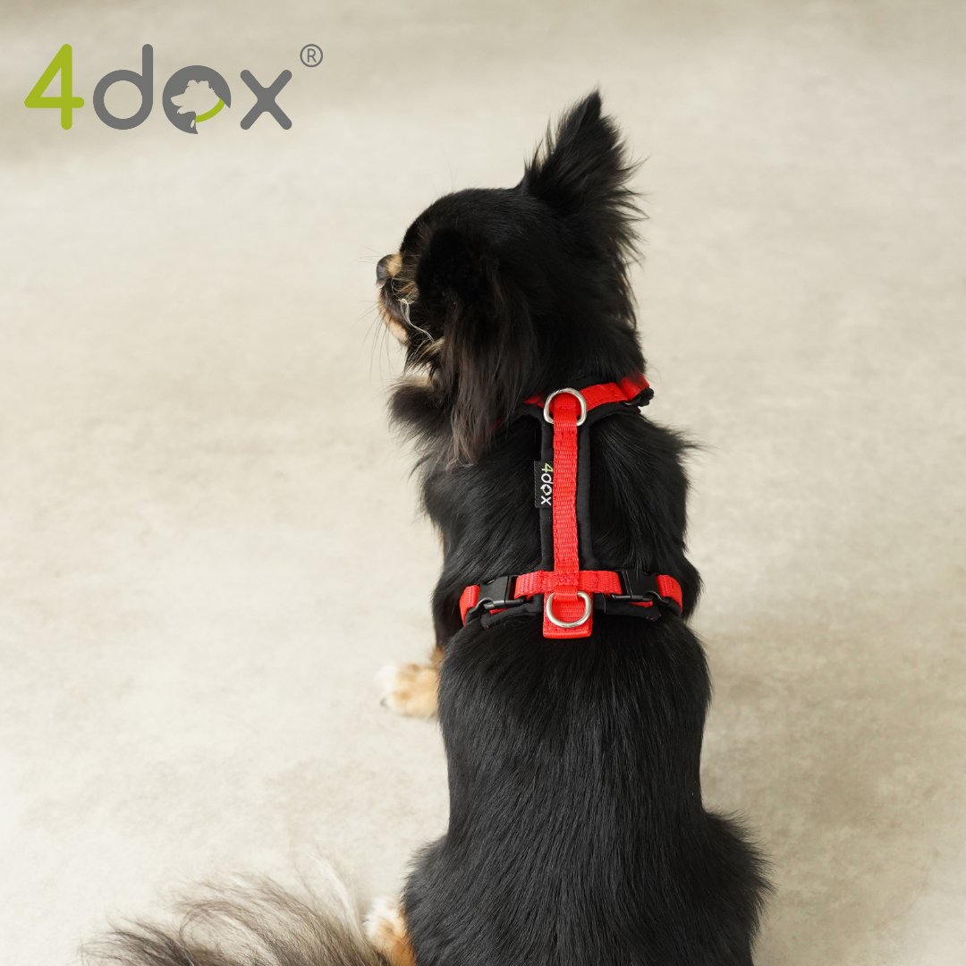 犬用ハーネス 4dox - コンフォートプラスハーネス|ペット用首輪・ハーネス|