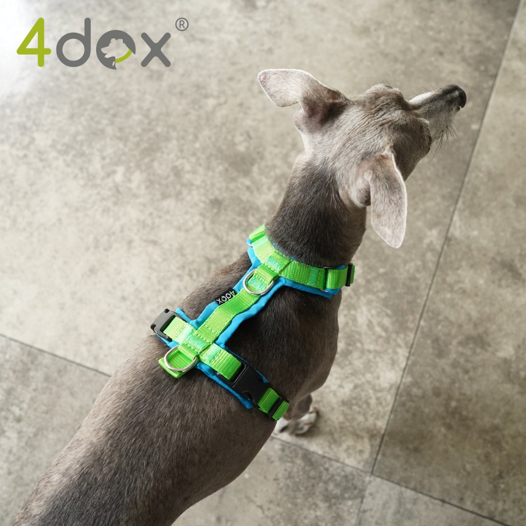 犬用ハーネス 4dox - コンフォートプラスハーネス|ペット用首輪・ハーネス|