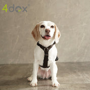 犬用ハーネス 4dox - コンフォートプラスハーネス|ペット用首輪・ハーネス|