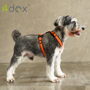 犬用ハーネス 4dox - オレンジカラー | 全体パッド付きで引っ張りの負担を軽減|シュナウザー ドッグトレーナー推奨ハーネス