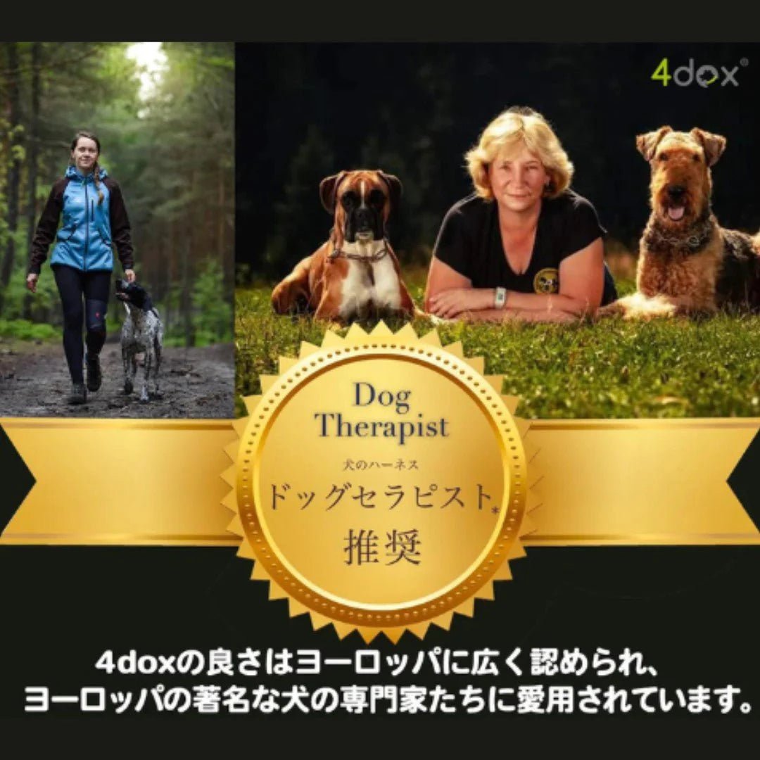 犬用ハーネス 4dox - オレンジカラー | 全体パッド付きで引っ張りの負担を軽減|ドッグトレーナー推奨ハーネス