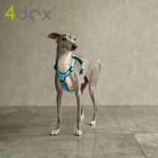 犬用ハーネス 4dox - コンフォートプラスハーネス|ペット用首輪・ハーネス|イタグレ
