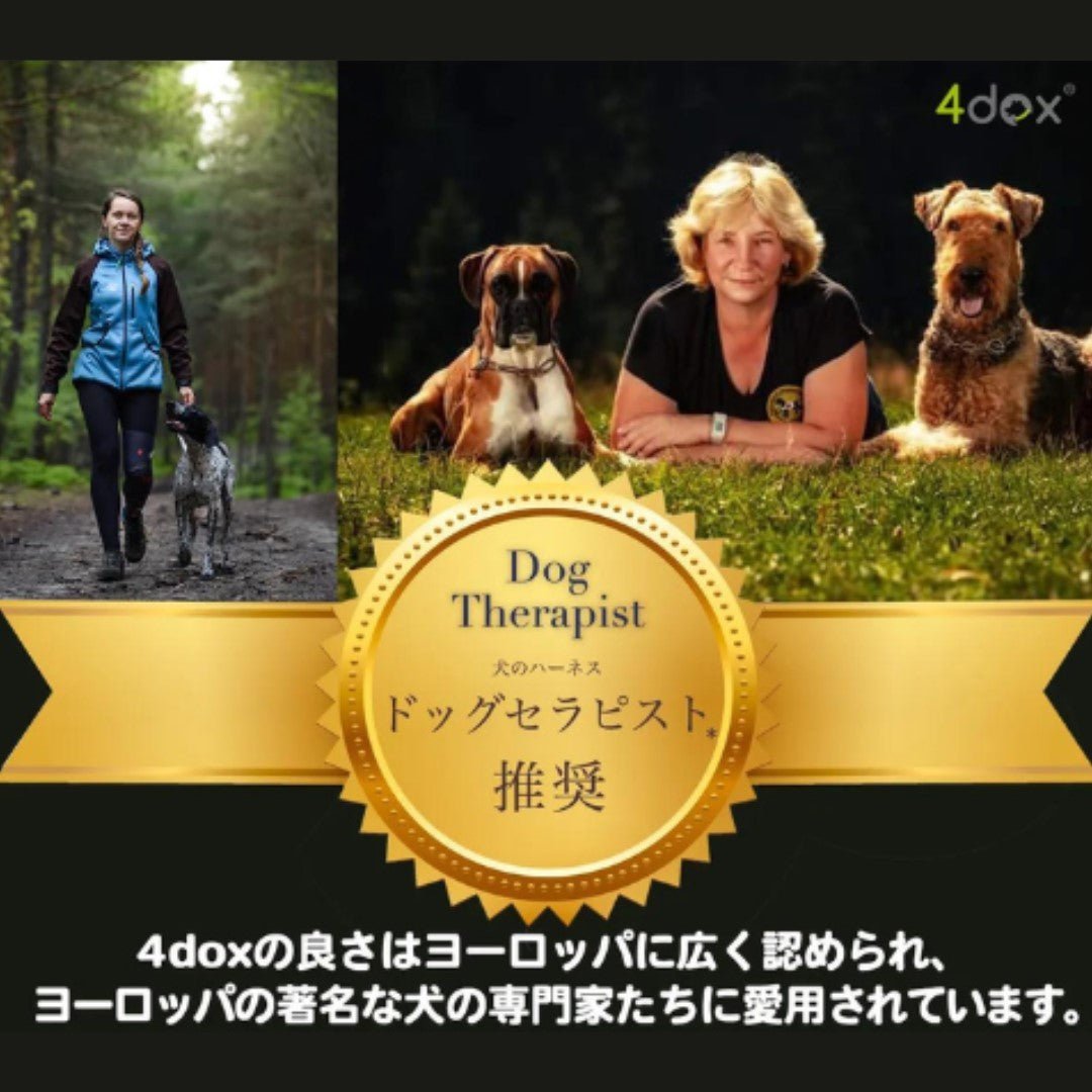 犬用ハーネス 4dox - コンフォートプラスハーネス XL / XXL| 全体パッド付きで引っ張りの負担を軽減|ペット・ペット用品>ペット用品>ペット用首輪・ハーネス