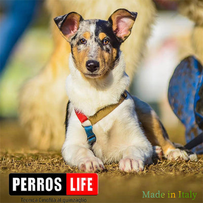 犬用ハーネス PERROS 8サイズ マルチカラー 首を通さないH型Y型ハーネス イタリア製 犬の体に優しい