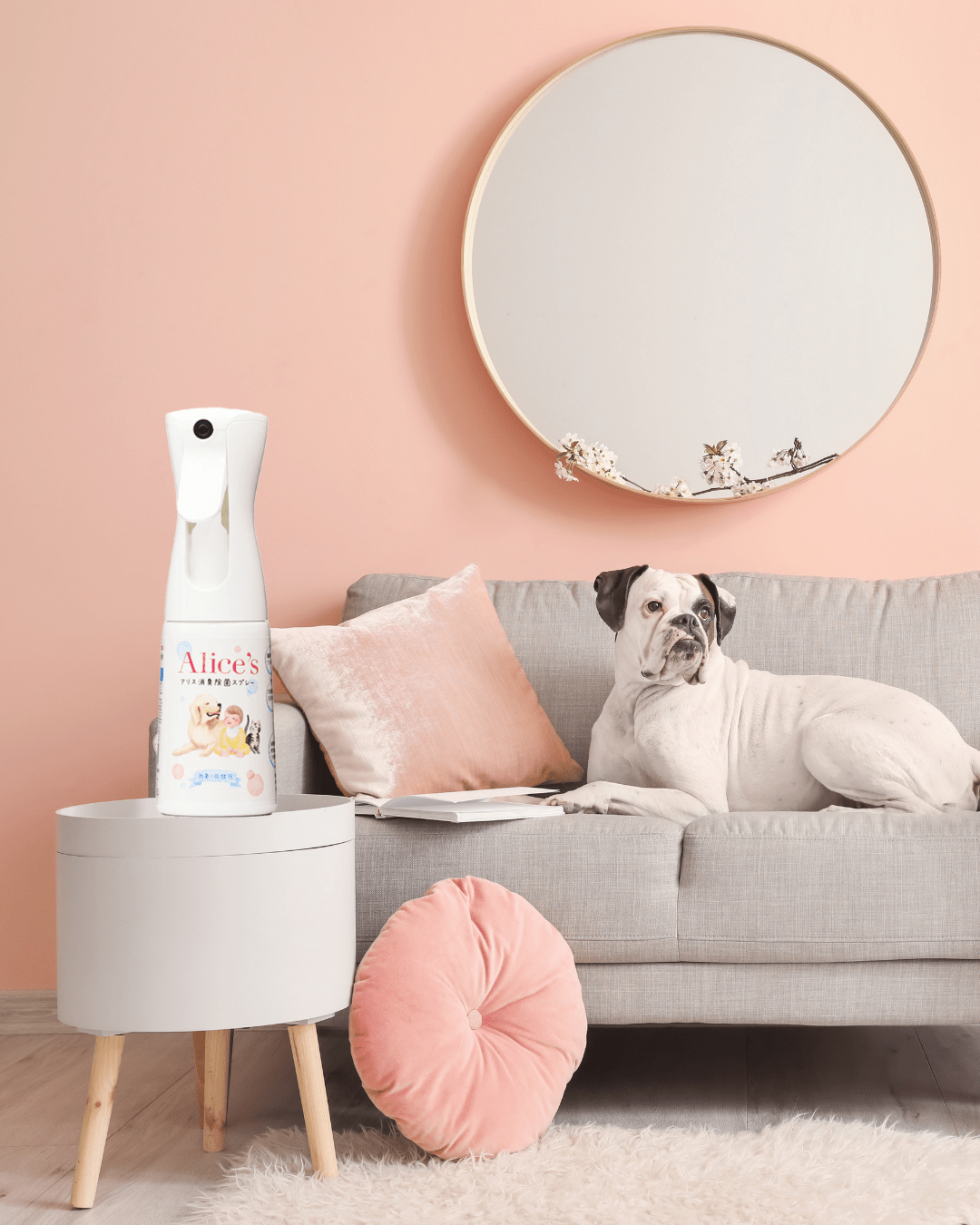 犬猫用 Alice's Dog & Cat アリス消臭除菌スプレー - 無香料でニオイ菌ゼロに|ペット用香水・消臭スプレー|犬猫用 Alice's Dog & Cat アリス消臭除菌スプレー - 無香料でニオイ菌ゼロに