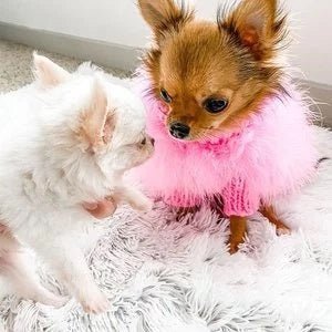 Christian Cowan x max - bone コラボ ニット|犬用ウェア|Christian Cowan x max - bone コラボ ニット - Alice's Dog & Catproduct_type