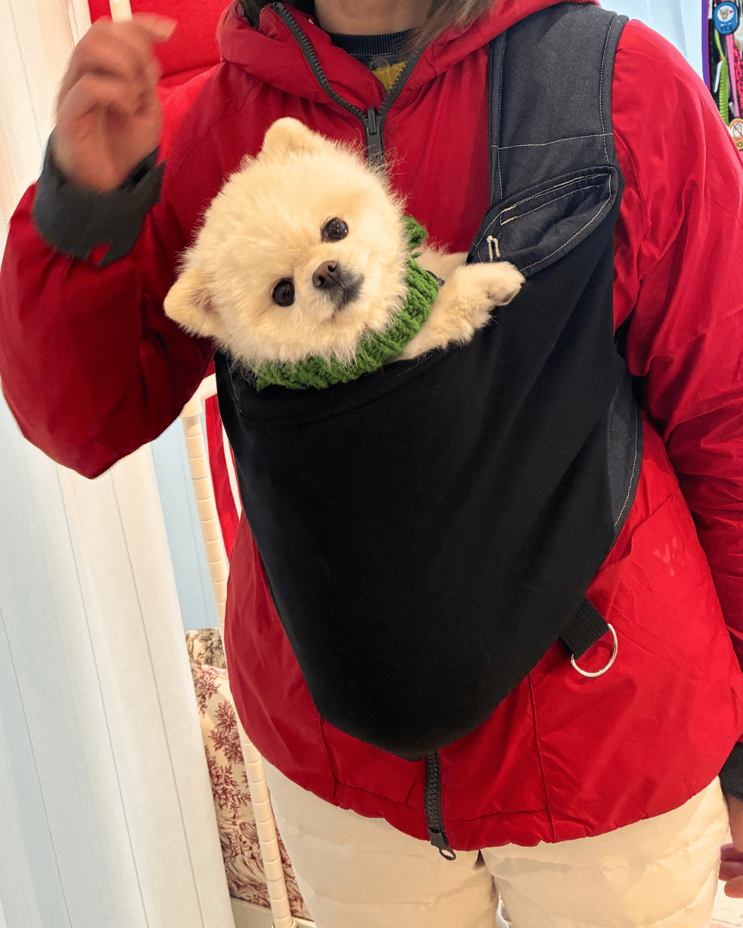 犬用 Kangapoochドッグスリング - 安全で快適な犬抱っこ紐|ドッグスリング|犬用 Kangapoochドッグスリング - 安全で快適な犬抱っこ紐