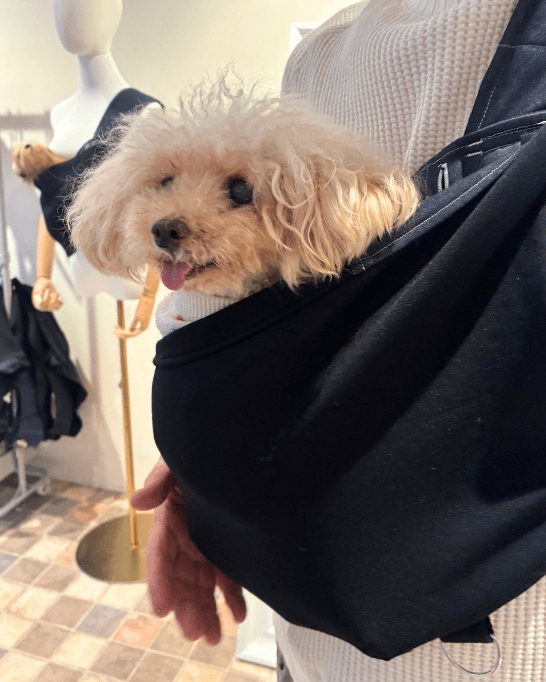 犬用 Kangapoochドッグスリング - 安全で快適な犬抱っこ紐|ドッグスリング|犬用 Kangapoochドッグスリング - 安全で快適な犬抱っこ紐